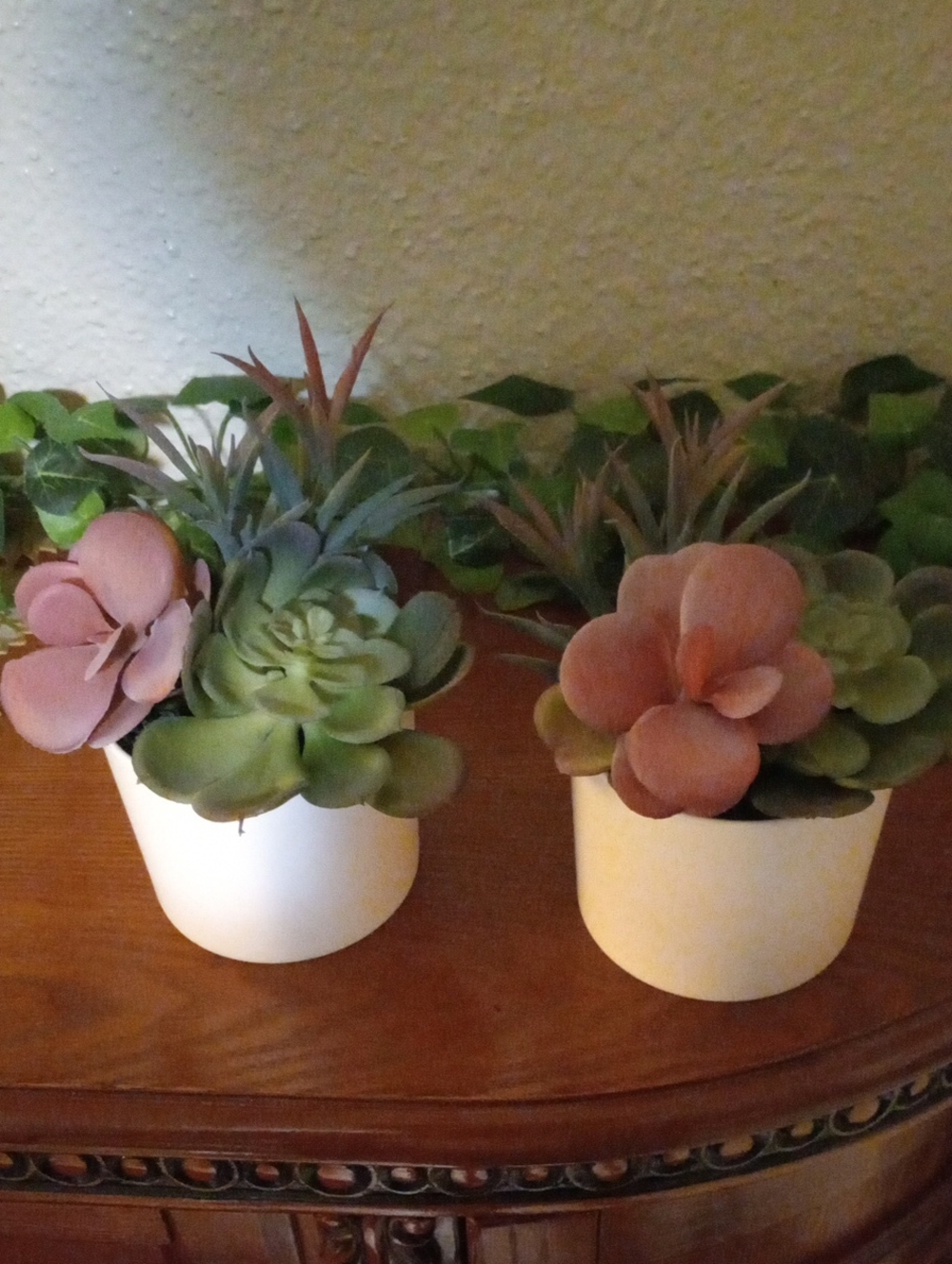 set of Artifiicial succulent plants